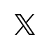 公式X
